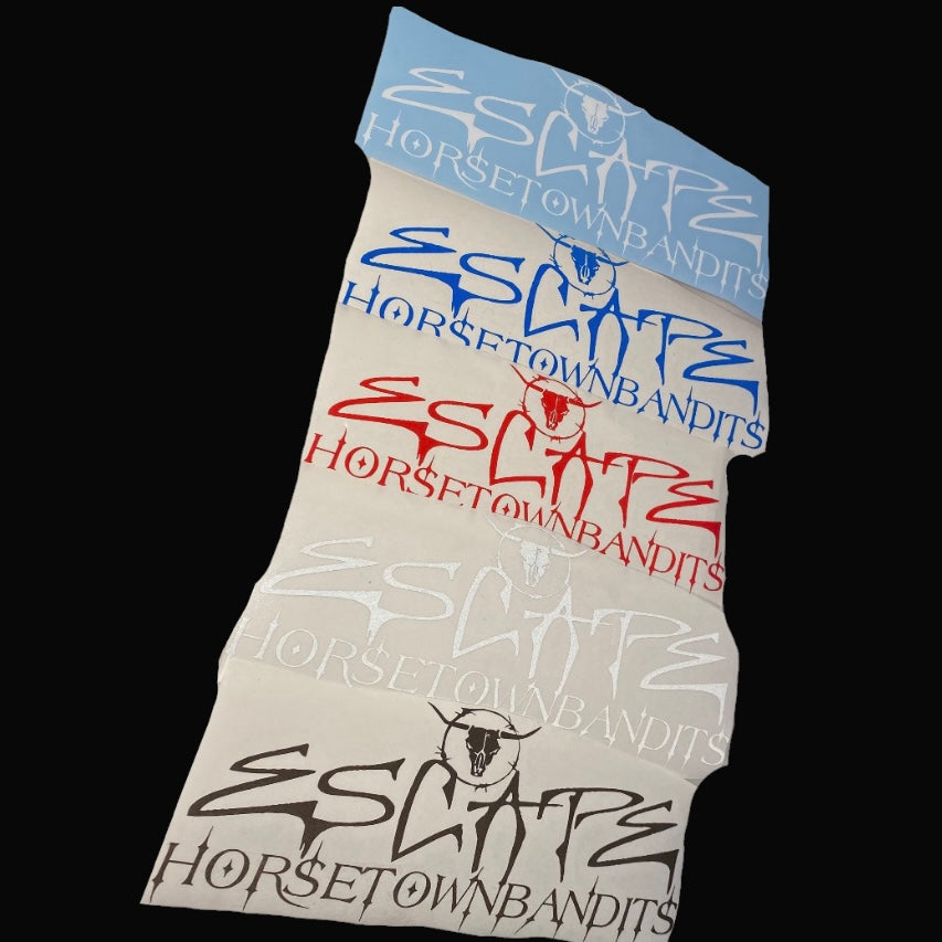 ESC HTB STICKER